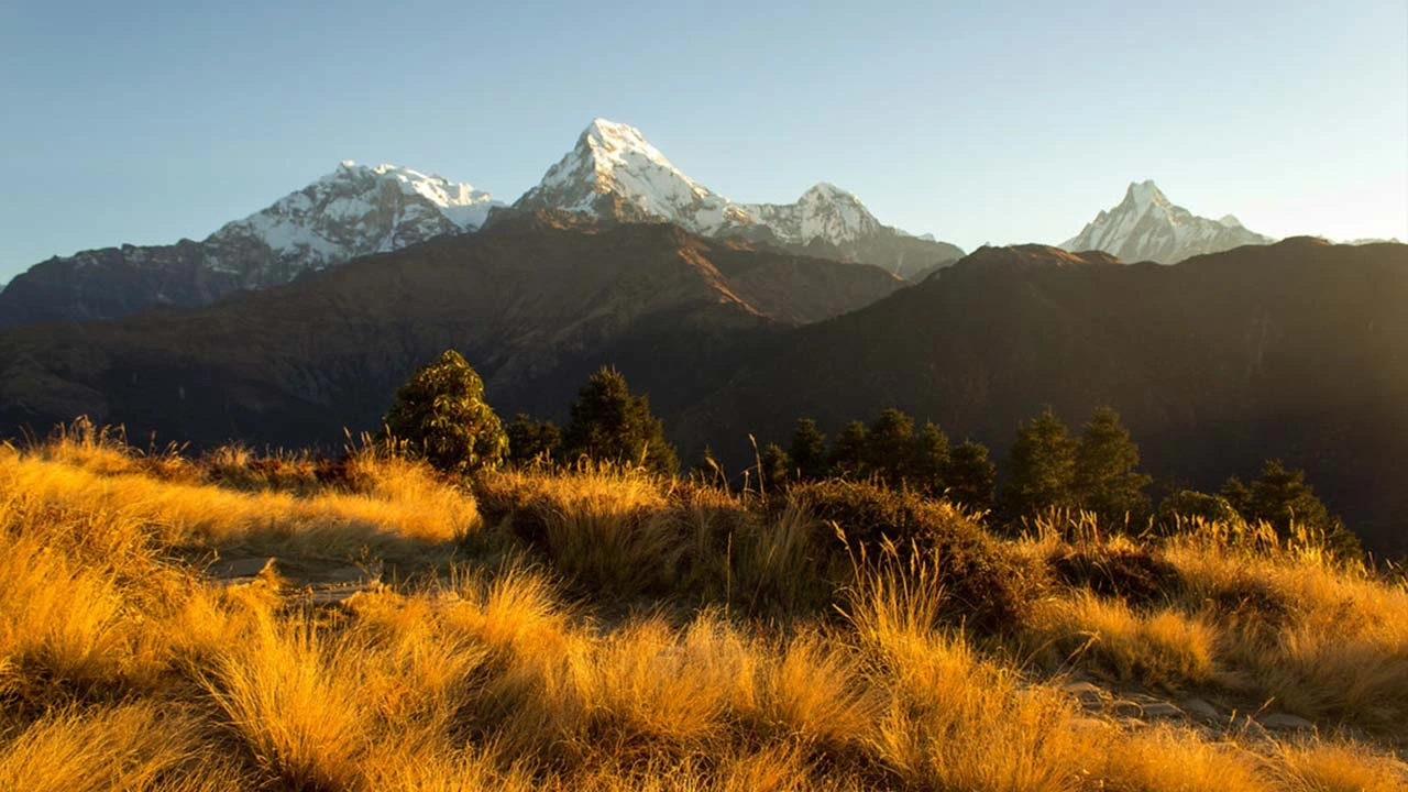 Ghorepani Poon Hill Trek