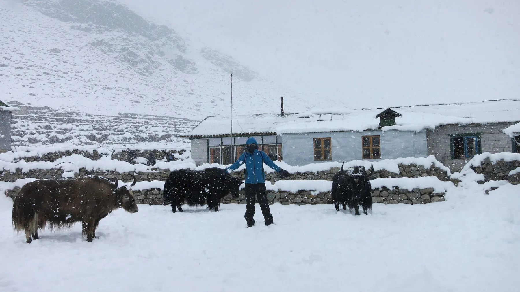 Why Our Everest Guides Love September