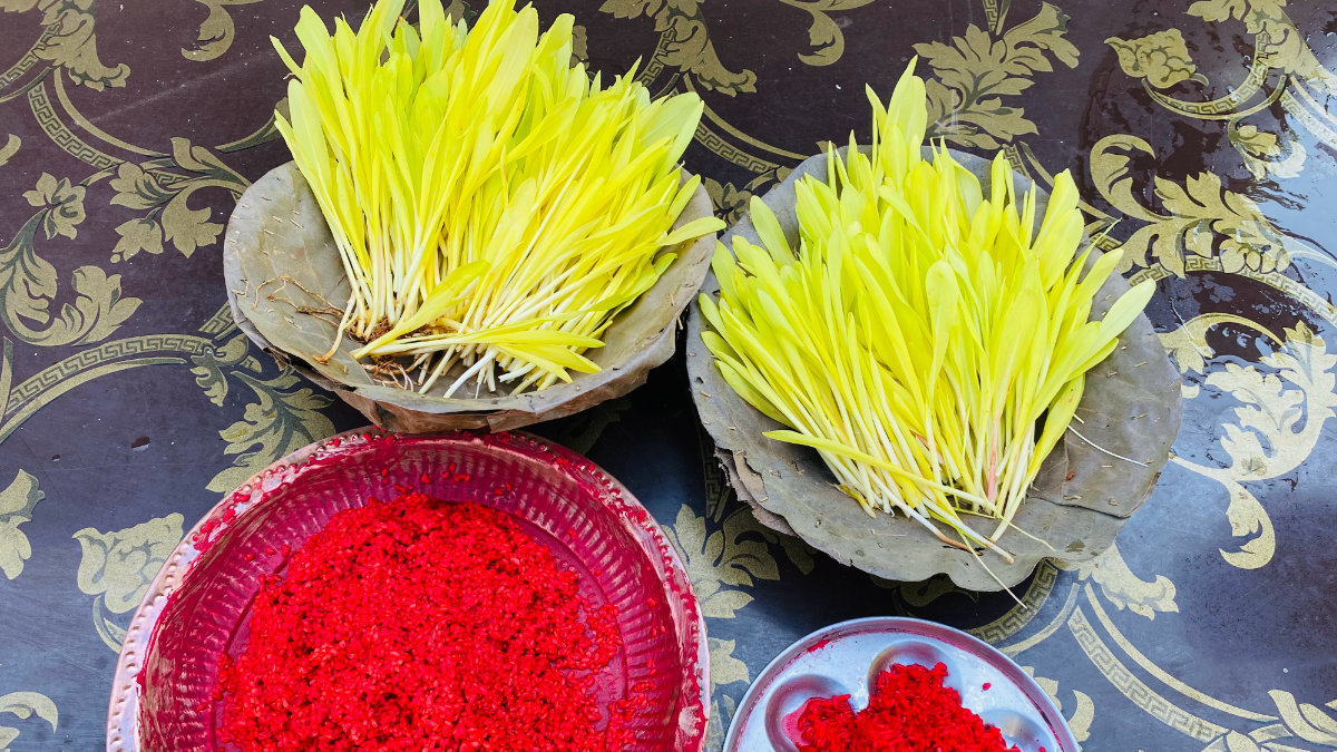 Dashain tika and jamara arranged for blessings