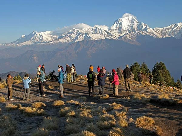 Poon Hill Trek